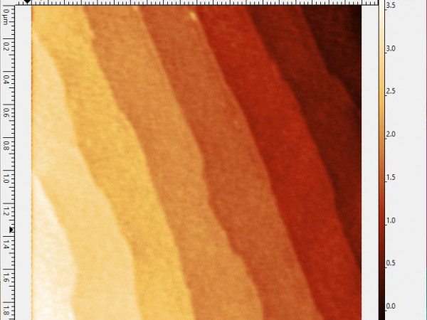 Atomic Force Microscopy